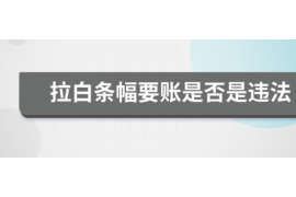 平川专业讨债公司有哪些核心服务？